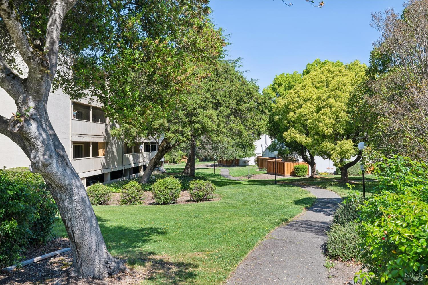 1453 Neotomas Avenue, Unit 304 Santa Rosa, CA 95405 - Photo 4 of 40