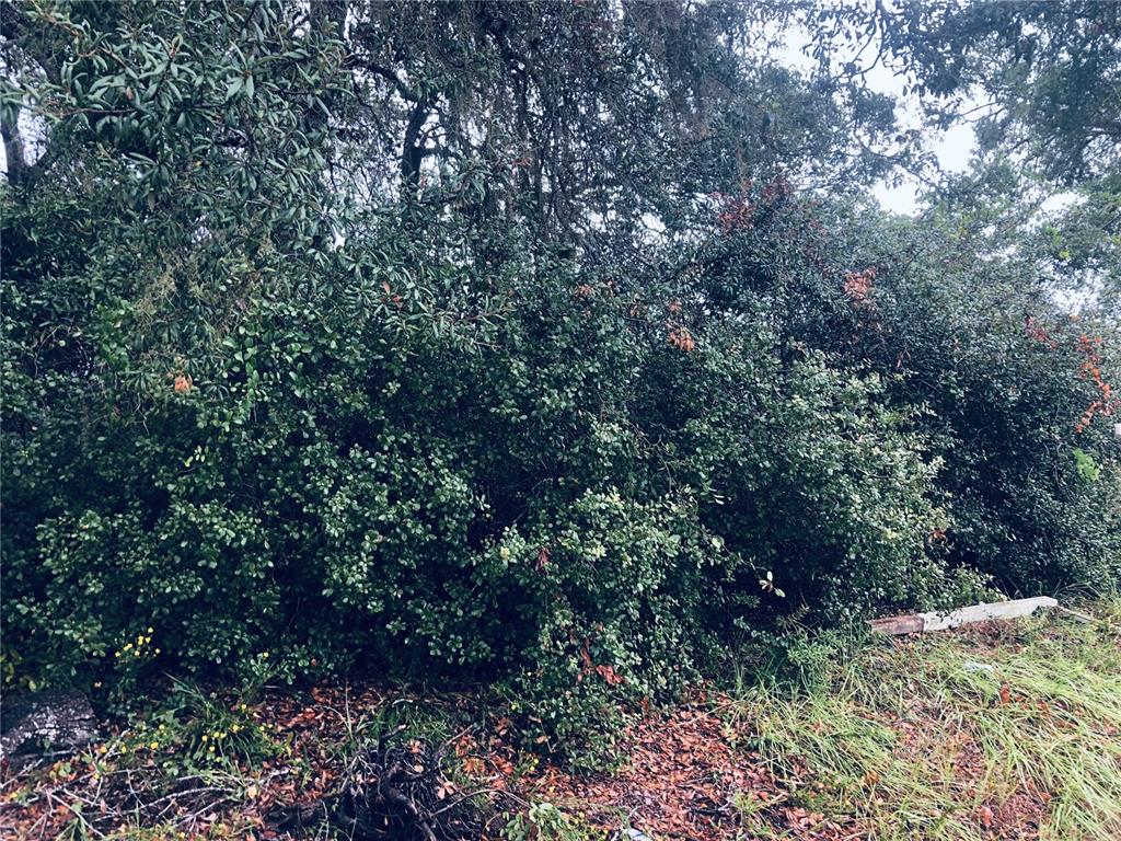 2832 Howland Boulevard Deltona, FL 32725 - Photo 3 of 5