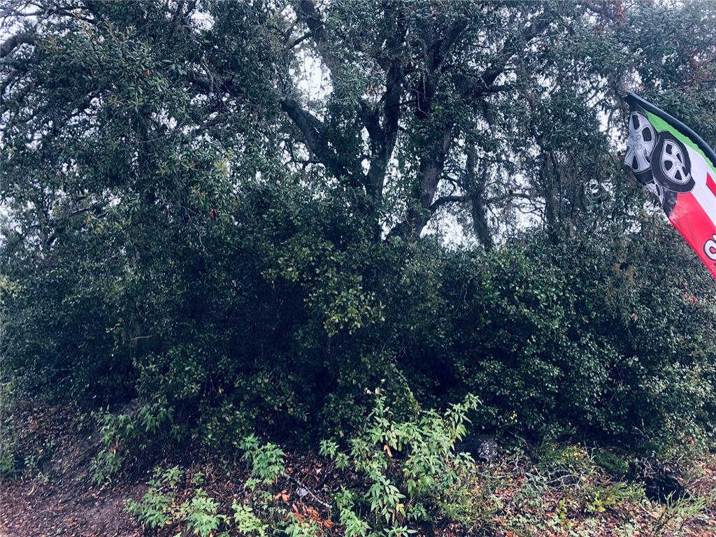 2832 Howland Boulevard Deltona, FL 32725 - Photo 4 of 5