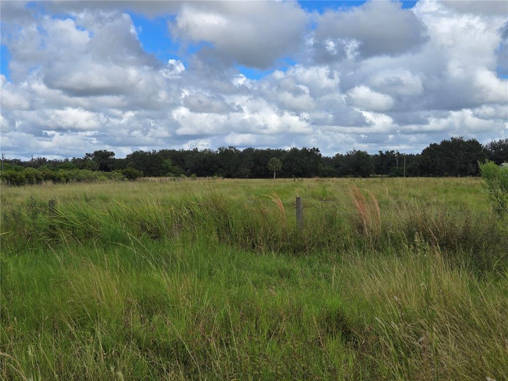 Southeast Piggy Back Road Arcadia, FL 34266 - Photo 2 of 5 a view of a lake with a yard