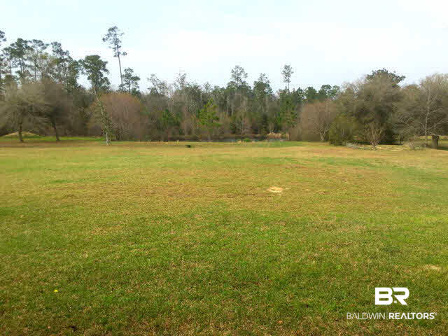 26079 Chatelaine Road Elberta, AL 36530 - Photo 36 of 38 Backyard