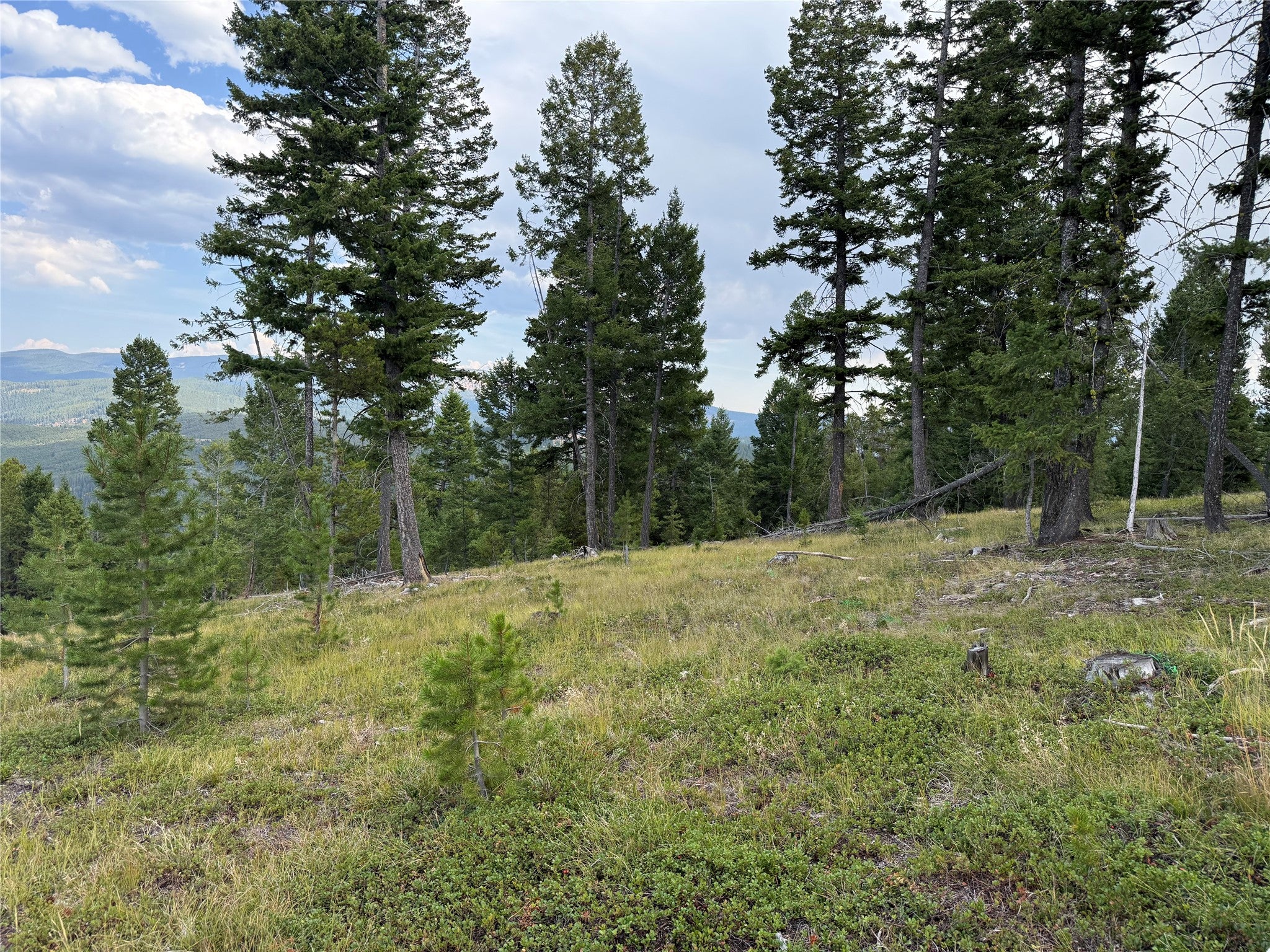 Tbd Trapper Ridge Philipsburg, MT 59858 - Photo 39 of 47 Gallery Image 39
