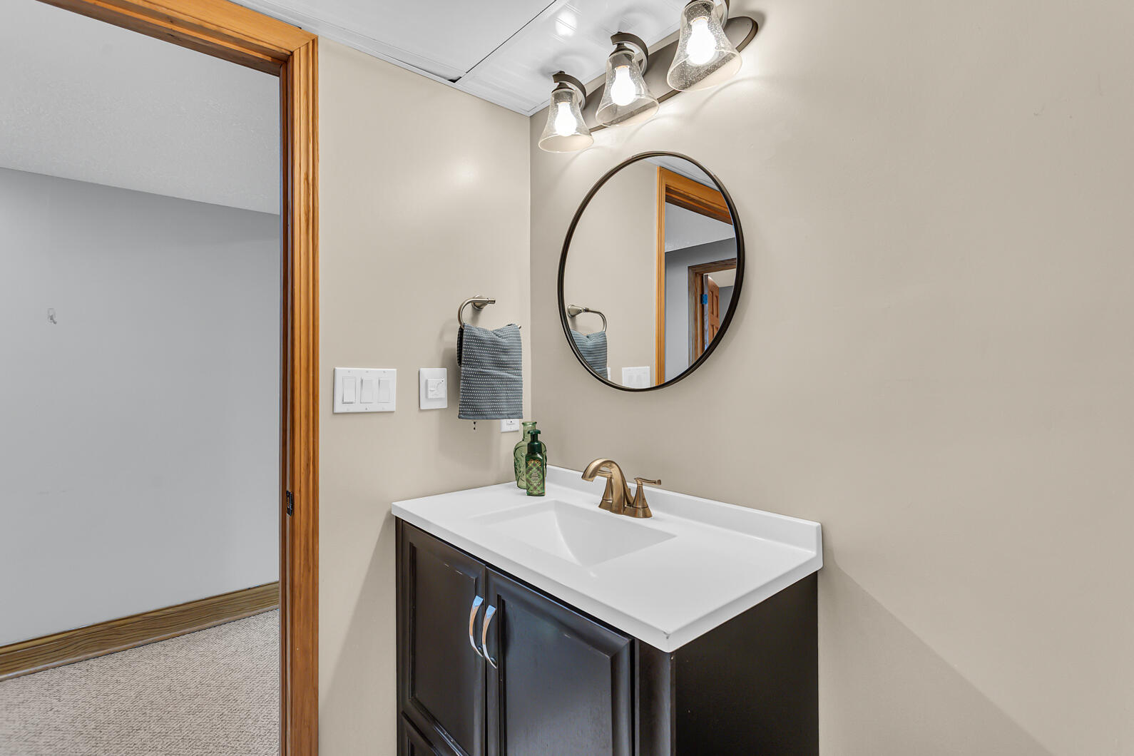 1395 South Lacey Lake Road Charlotte, MI 48813 - Photo 52 of 77 0N0A4183