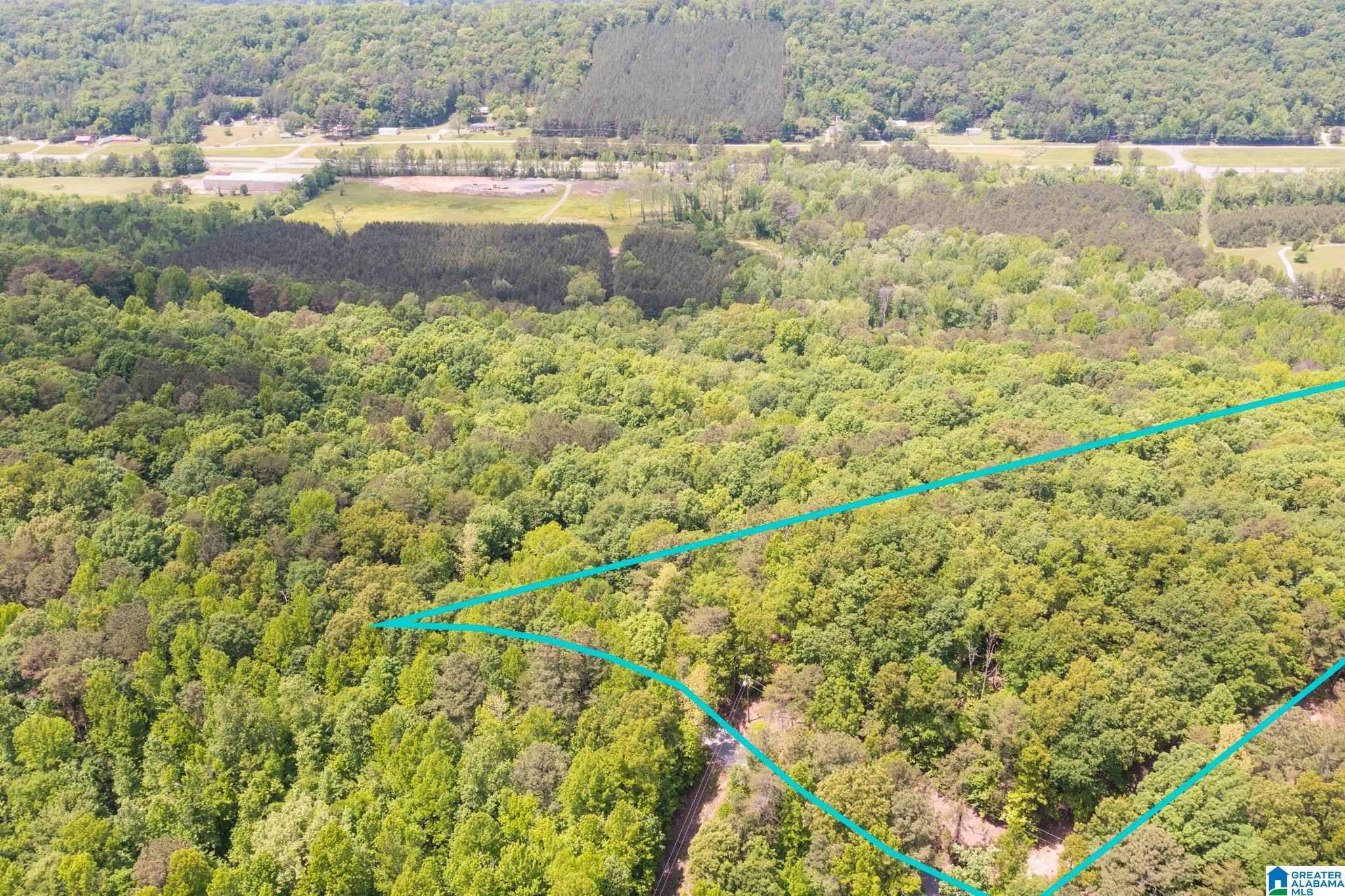 0 Beaver Creek Road Remlap, AL 35133 - Photo 2 of 8 Gallery Image 2