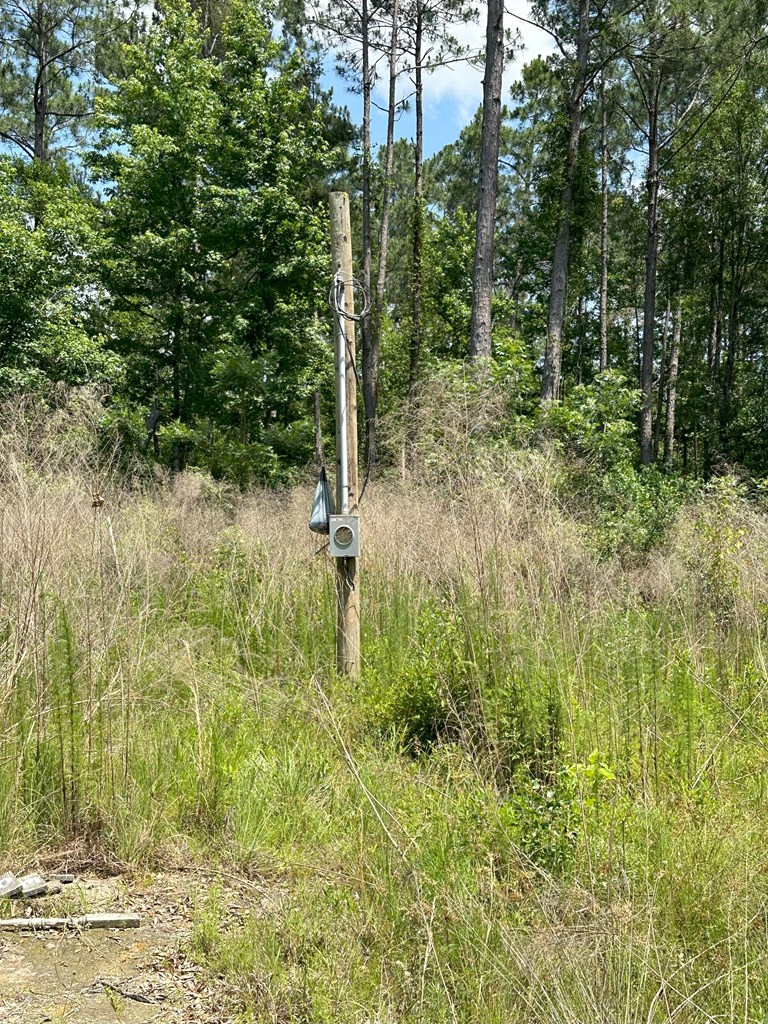 Lot 7 South Springhill Road Gordon, AL 36343 - Photo 11 of 14