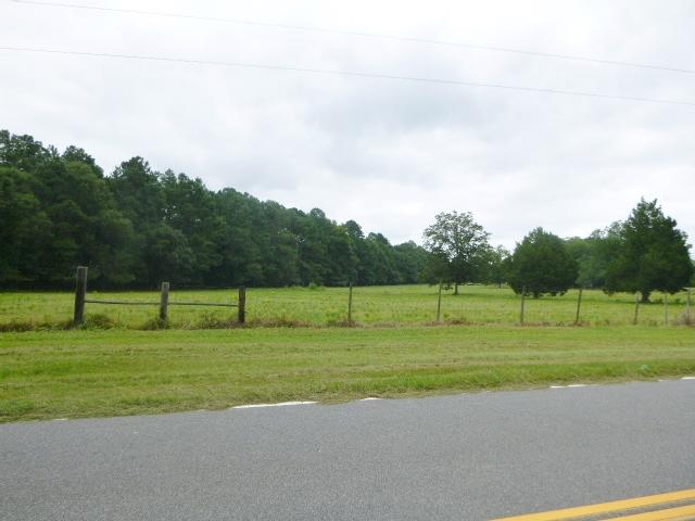 12 Short Cut Road Cross, SC 29436 - Photo 4 of 5 Tract 2 Short Cut Rd (4)