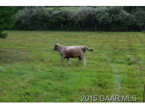 739 Cattle Scales Road Waynesboro, VA 22980 - Photo 34 of 36 a view of a garden