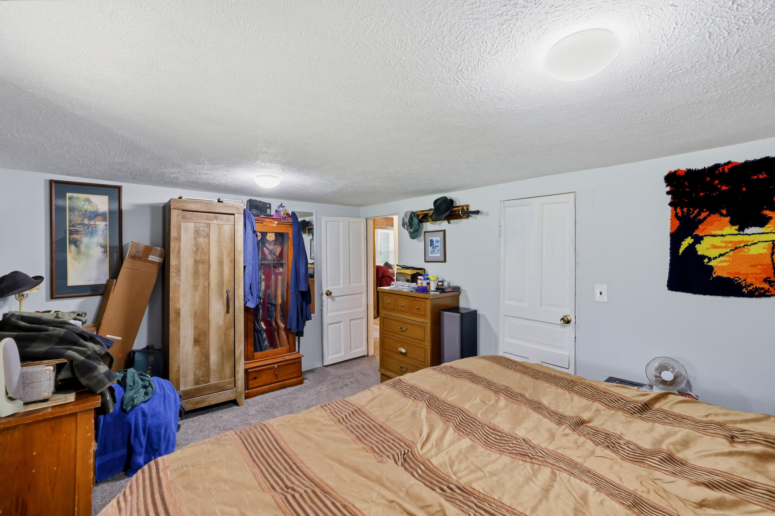 10109 Wise Road Greenville, MI 48838 - Photo 26 of 37 10109 Wise Rd-017