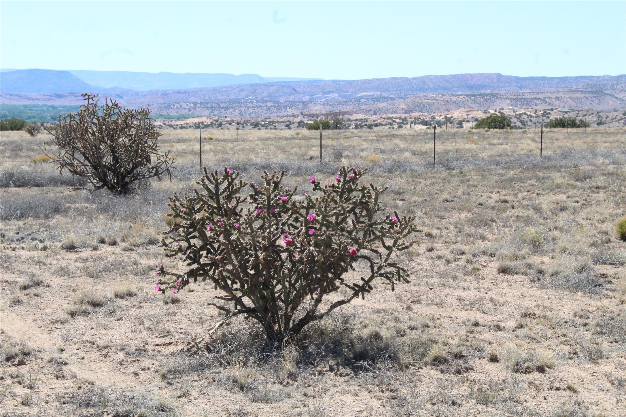 Tbd Tbd Bridle Trail Ojo Caliente, NM 87549 - Photo 5 of 7