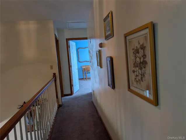 a view of a hallway with front door