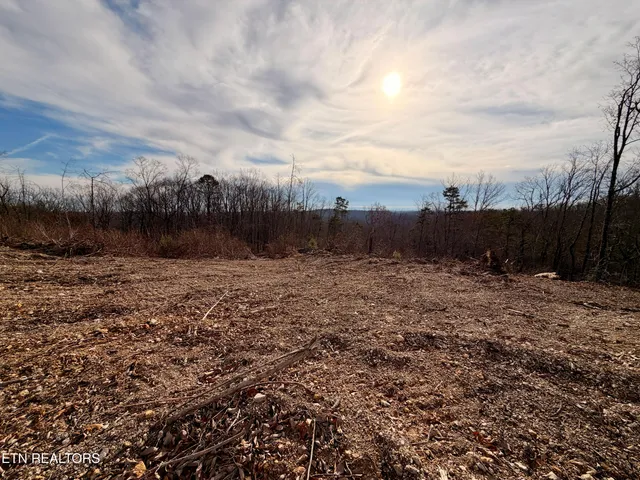 $1,981,500 | Bluff Road, Kingston, TN 37763