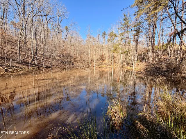 $1,981,500 | Bluff Road, Kingston, TN 37763