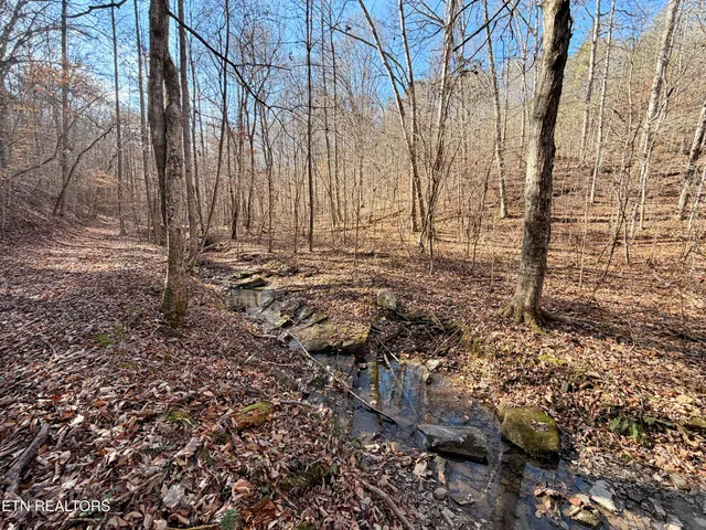 $1,981,500 | Bluff Road, Kingston, TN 37763