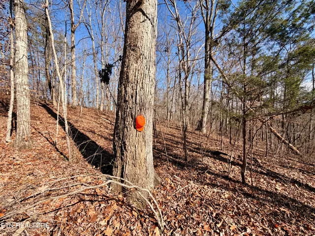 $1,981,500 | Bluff Road, Kingston, TN 37763