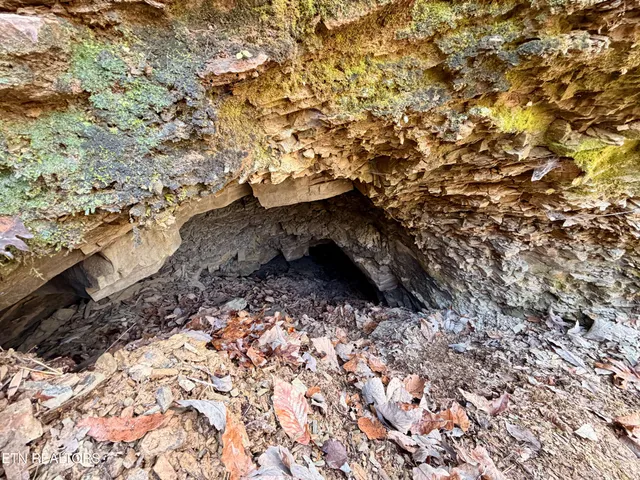 $1,981,500 | Bluff Road, Kingston, TN 37763