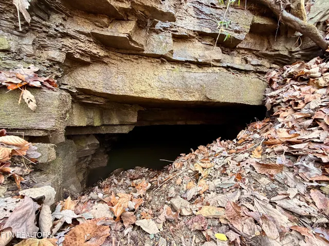 $1,981,500 | Bluff Road, Kingston, TN 37763