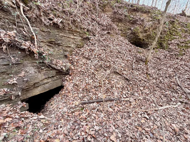 $1,981,500 | Bluff Road, Kingston, TN 37763