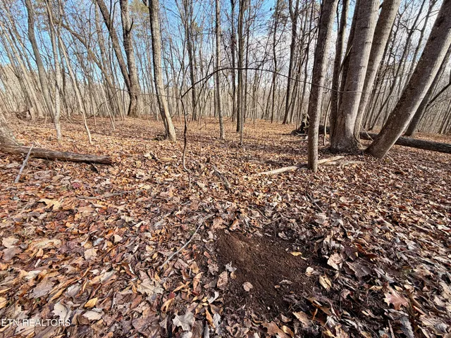 $1,981,500 | Bluff Road, Kingston, TN 37763