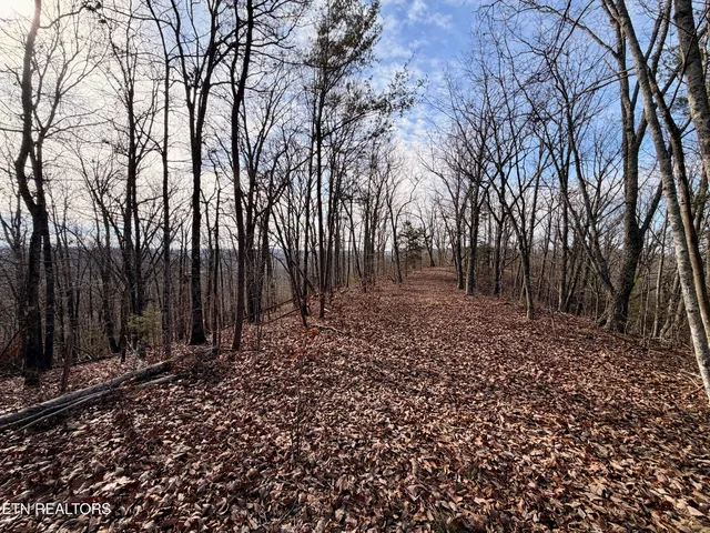 $1,981,500 | Bluff Road, Kingston, TN 37763