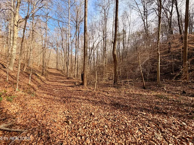 $1,981,500 | Bluff Road, Kingston, TN 37763