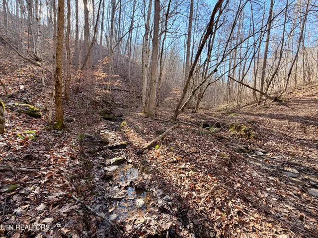 $1,981,500 | Bluff Road, Kingston, TN 37763