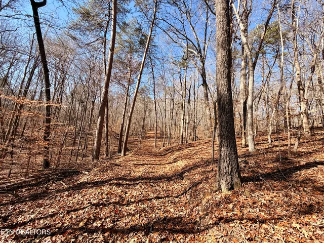 $1,981,500 | Bluff Road, Kingston, TN 37763