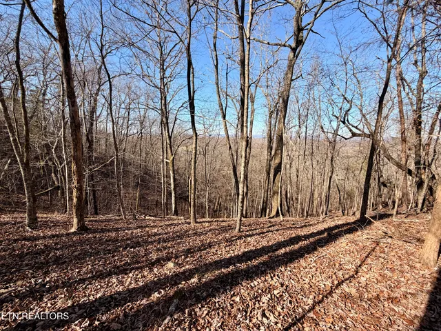 $1,981,500 | Bluff Road, Kingston, TN 37763