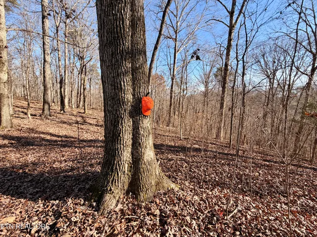 $1,981,500 | Bluff Road, Kingston, TN 37763