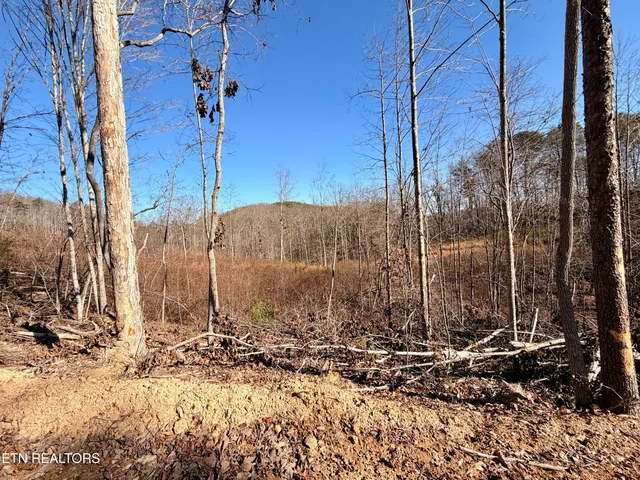 $1,981,500 | Bluff Road, Kingston, TN 37763