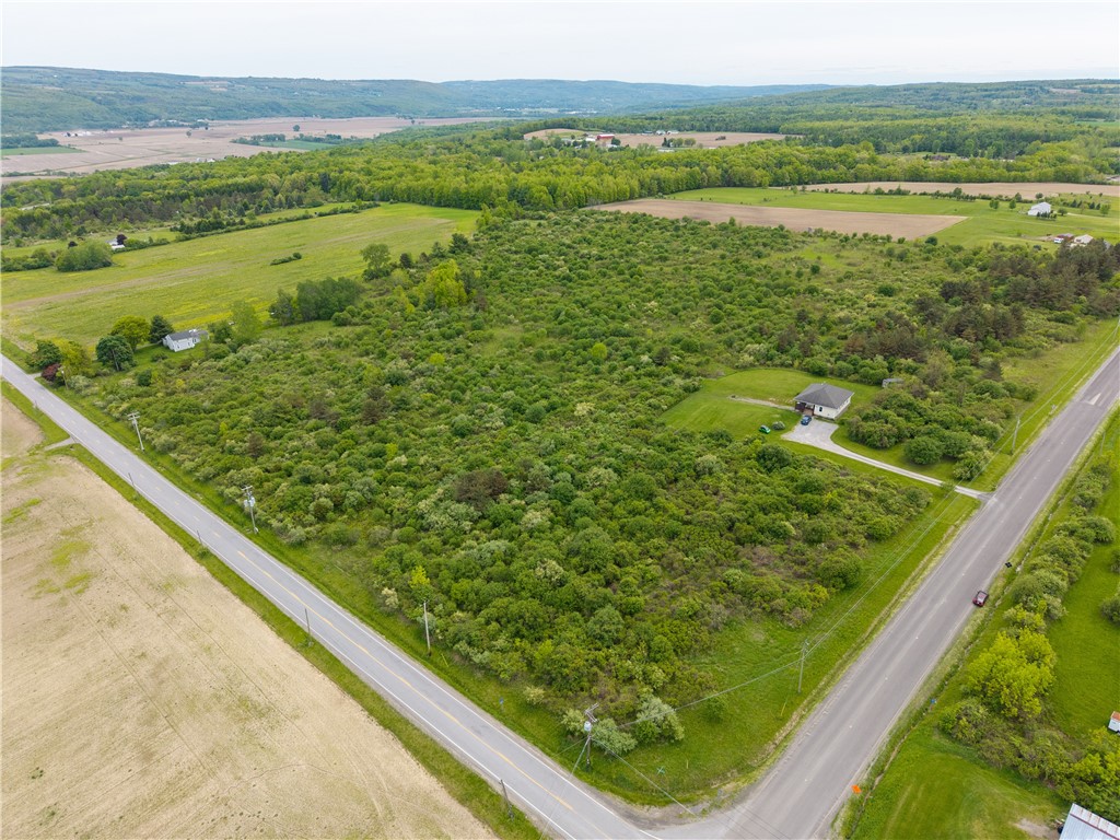 Rock Spring Hill Road Dansville, NY 14437 - Photo 4 of 20