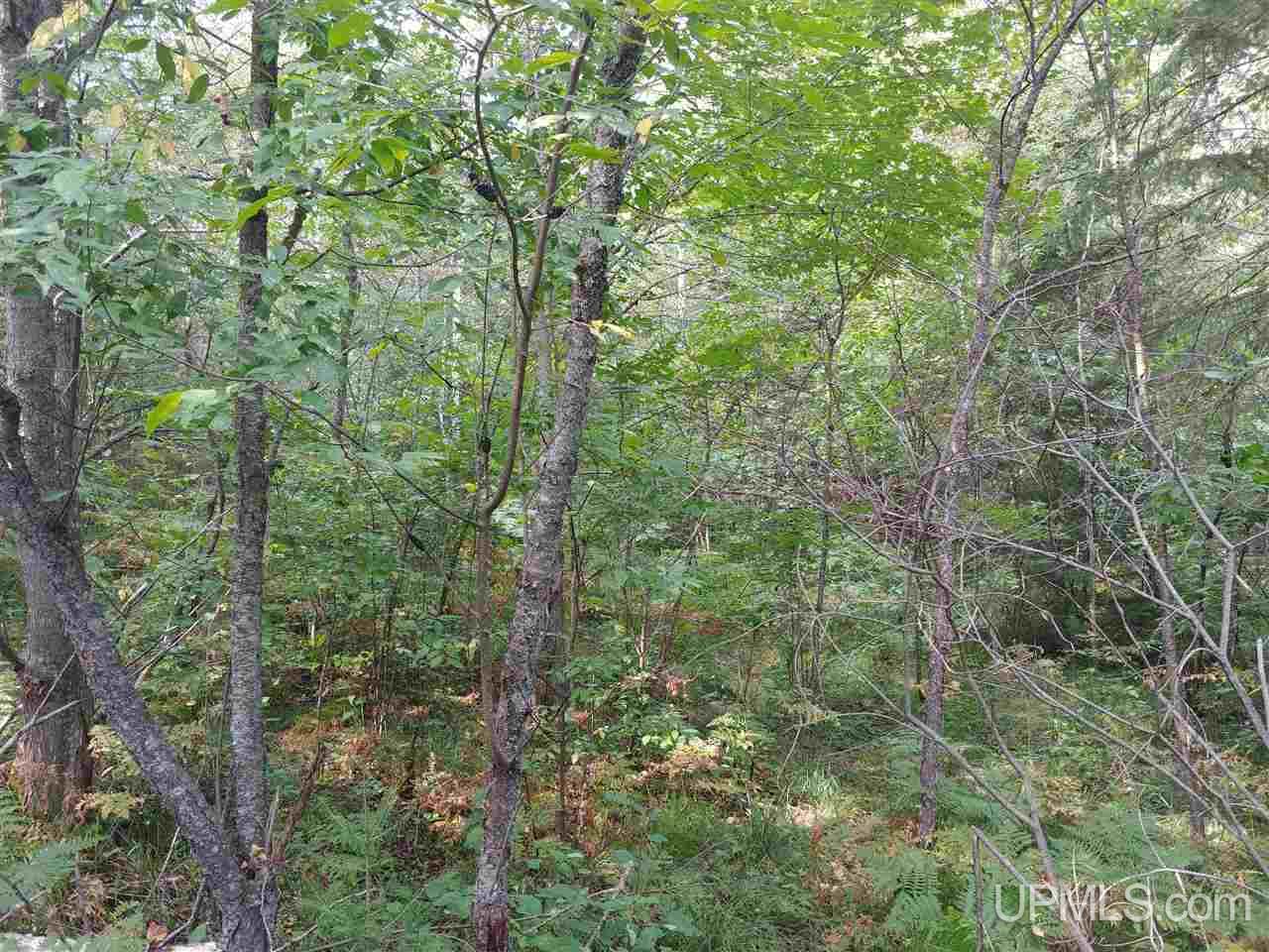 42-acres 42-acres Co Road Ishpeming, MI 49849 - Photo 2 of 16