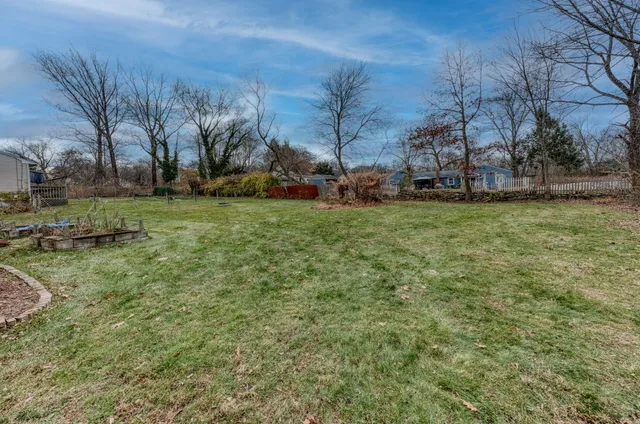 a view of backyard with green space