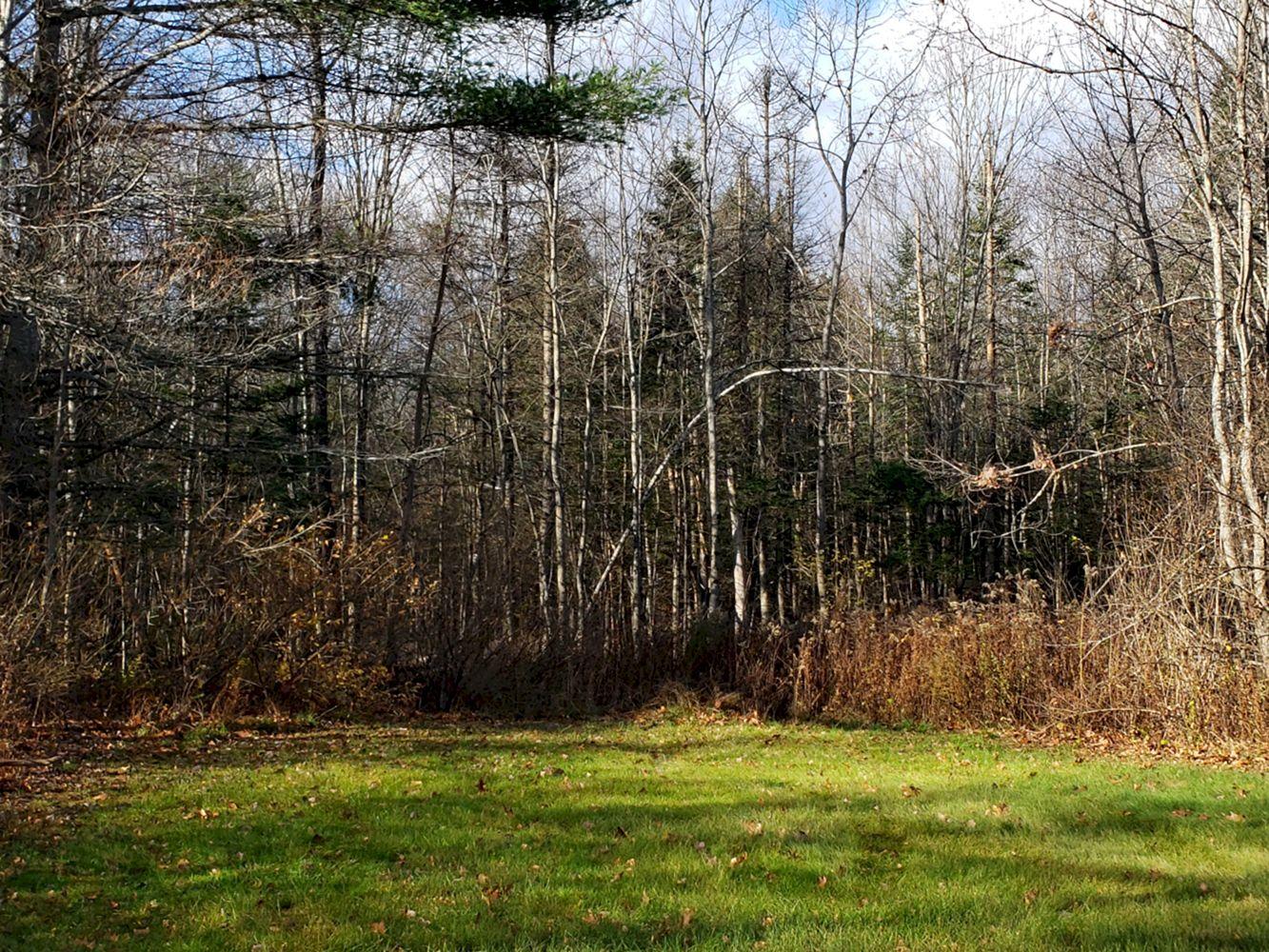 352 River Road North Anson, ME 04958 - Photo 29 of 49 Acreage includes wooded area