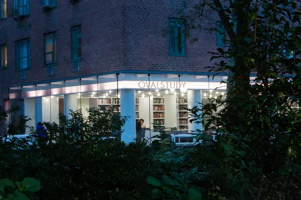 a view of a building with a potted plant