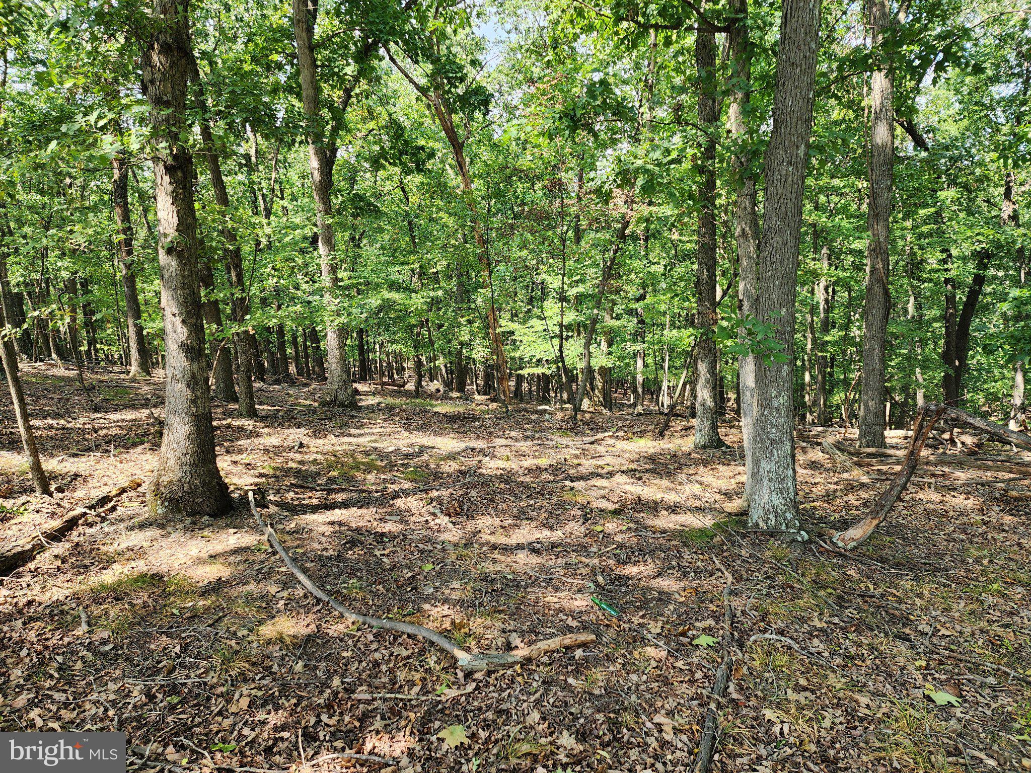 2.53 Acres Timber Ridge Road Berkeley Springs, WV 25411 - Photo 8 of 13 Gallery Image 8