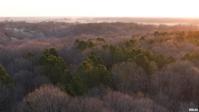 $895,000 | 17217 North Dairy Farm Road, Smithfield, IL 61477