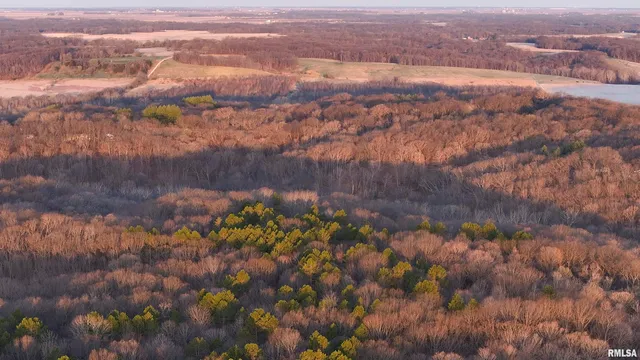 $895,000 | 17217 North Dairy Farm Road, Smithfield, IL 61477