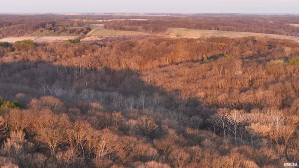 $895,000 | 17217 North Dairy Farm Road, Smithfield, IL 61477