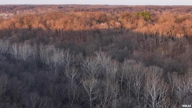 $895,000 | 17217 North Dairy Farm Road, Smithfield, IL 61477