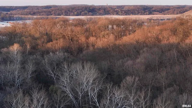 $895,000 | 17217 North Dairy Farm Road, Smithfield, IL 61477