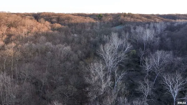 $895,000 | 17217 North Dairy Farm Road, Smithfield, IL 61477