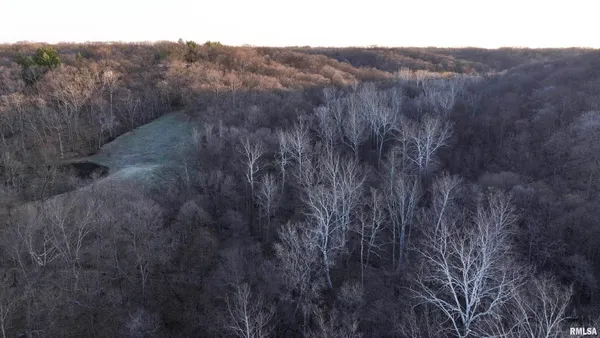 $895,000 | 17217 North Dairy Farm Road, Smithfield, IL 61477