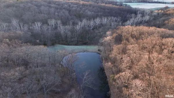 $895,000 | 17217 North Dairy Farm Road, Smithfield, IL 61477