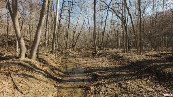 $895,000 | 17217 North Dairy Farm Road, Smithfield, IL 61477