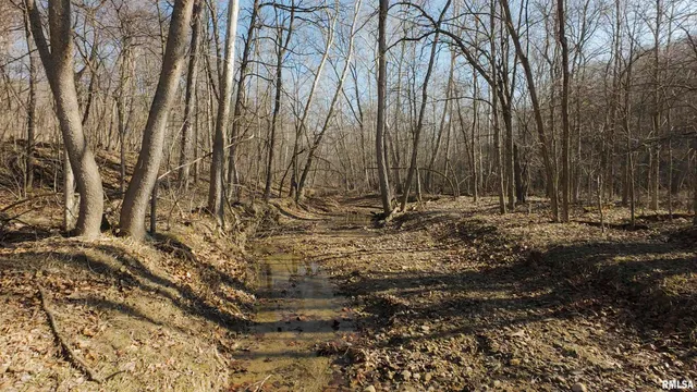 $895,000 | 17217 North Dairy Farm Road, Smithfield, IL 61477