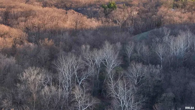 $895,000 | 17217 North Dairy Farm Road, Smithfield, IL 61477