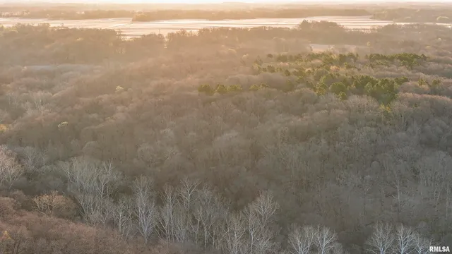 $895,000 | 17217 North Dairy Farm Road, Smithfield, IL 61477