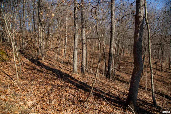 $895,000 | 17217 North Dairy Farm Road, Smithfield, IL 61477