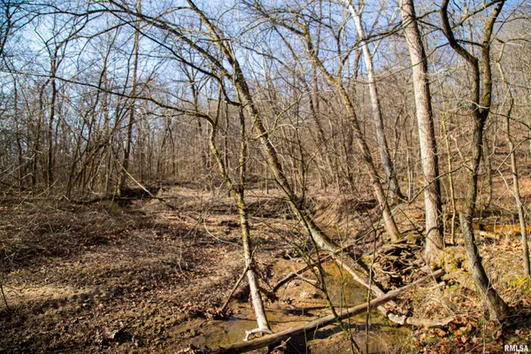 $895,000 | 17217 North Dairy Farm Road, Smithfield, IL 61477