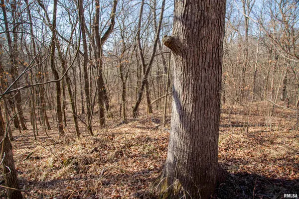 $895,000 | 17217 North Dairy Farm Road, Smithfield, IL 61477